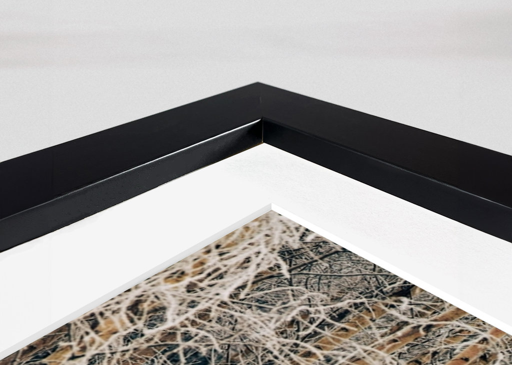 Birches in winter frost