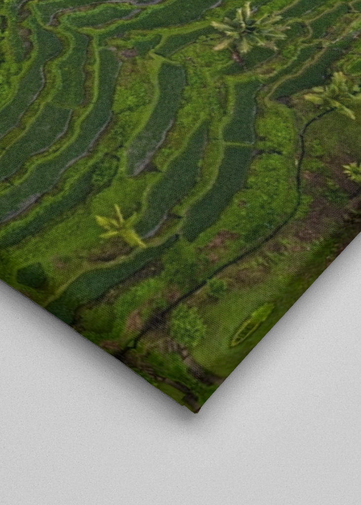 Tegalalang Rice Terrace