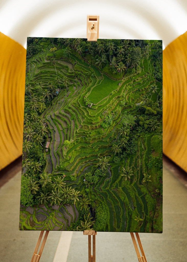 Tegalalang Rice Terrace