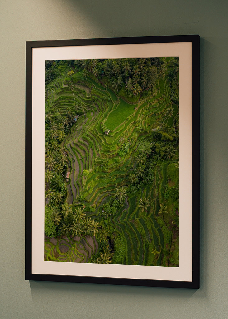 Tegalalang Rice Terrace