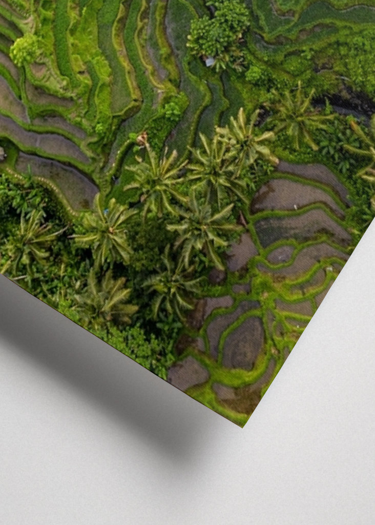 Tegalalang Rice Terrace