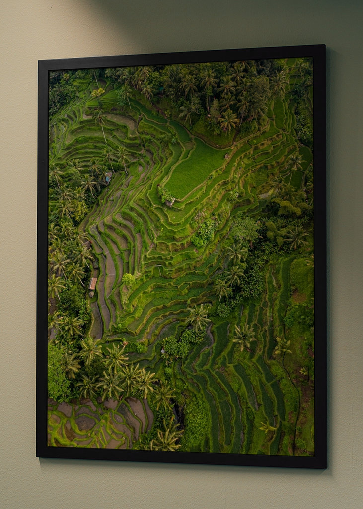 Tegalalang Rice Terrace