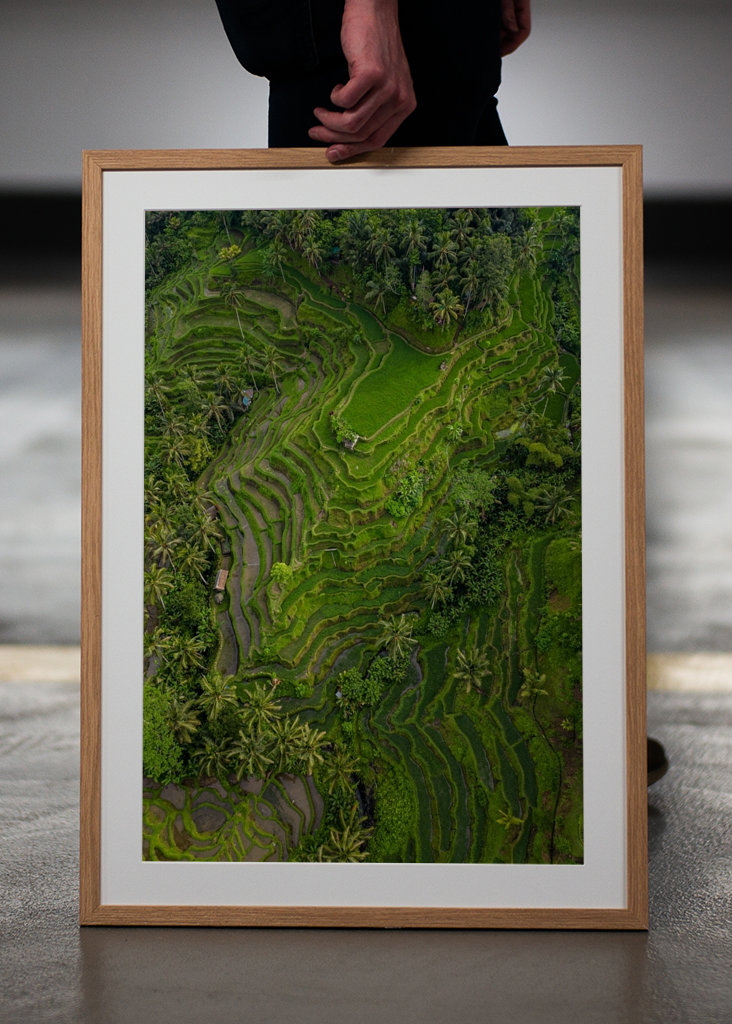 Tegalalang Rice Terrace