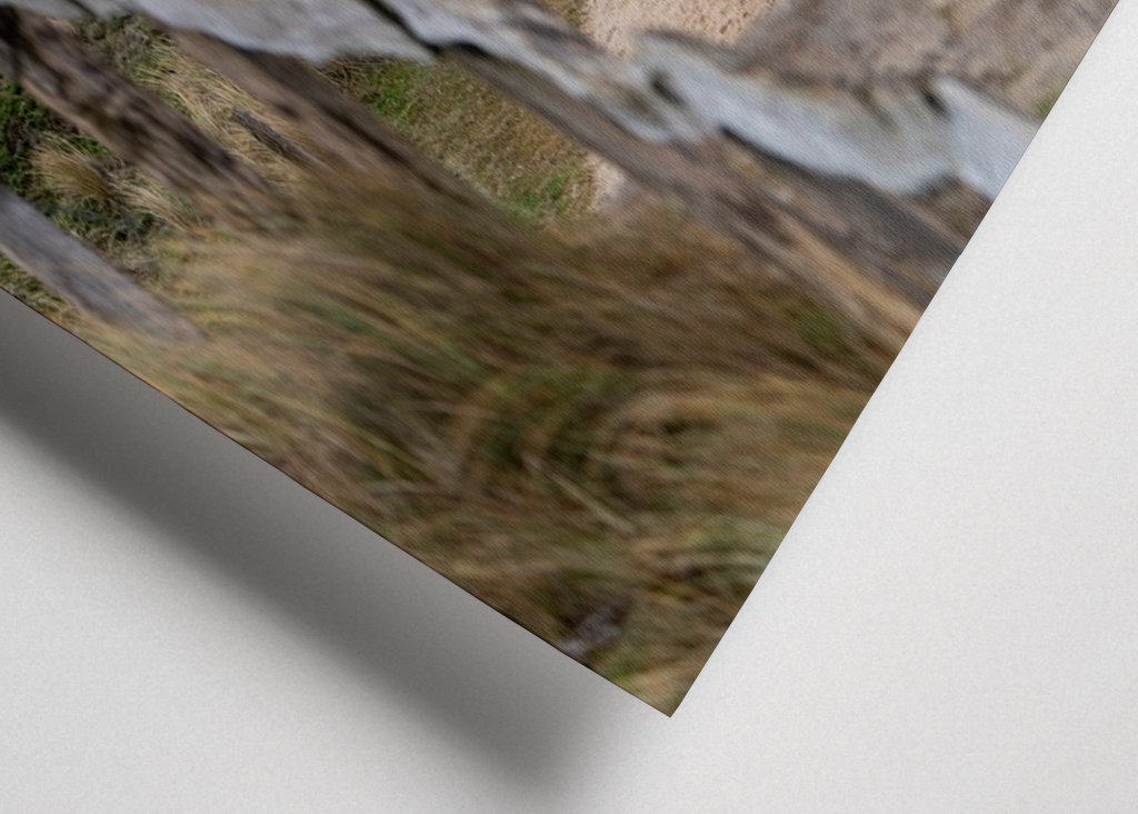 The way to the beach