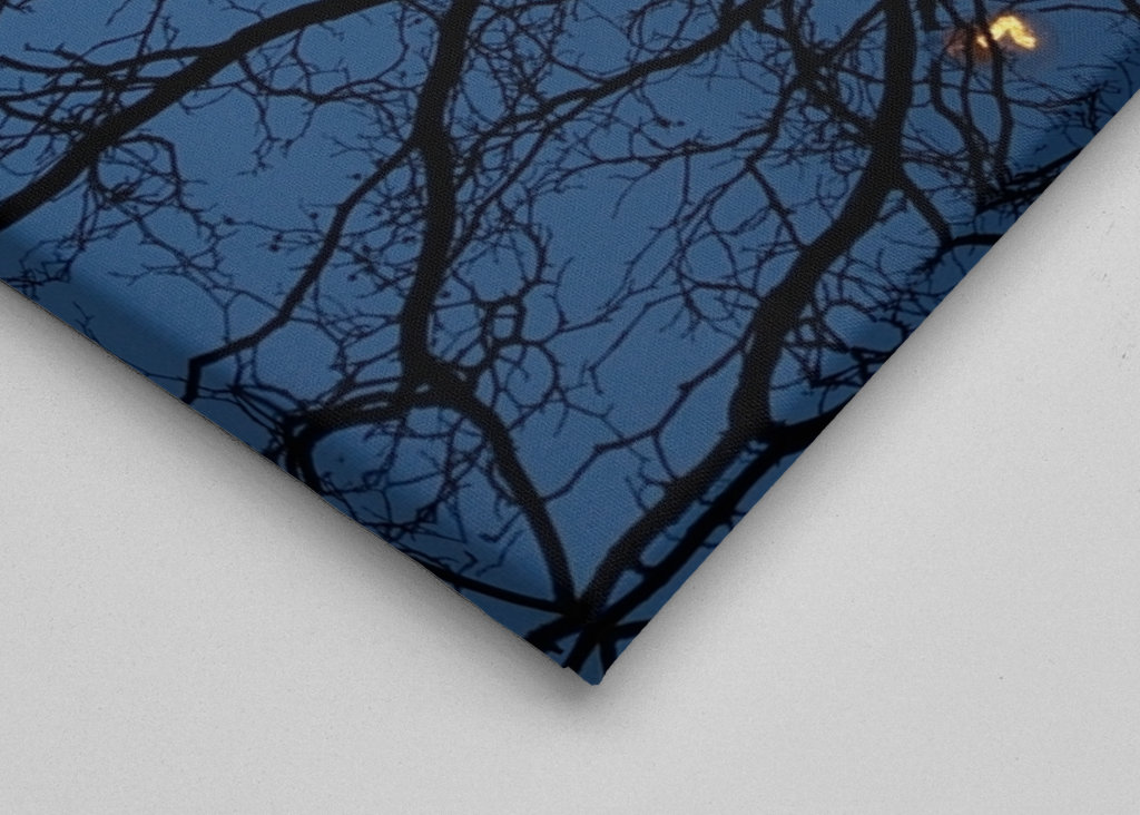 The light in the darkness