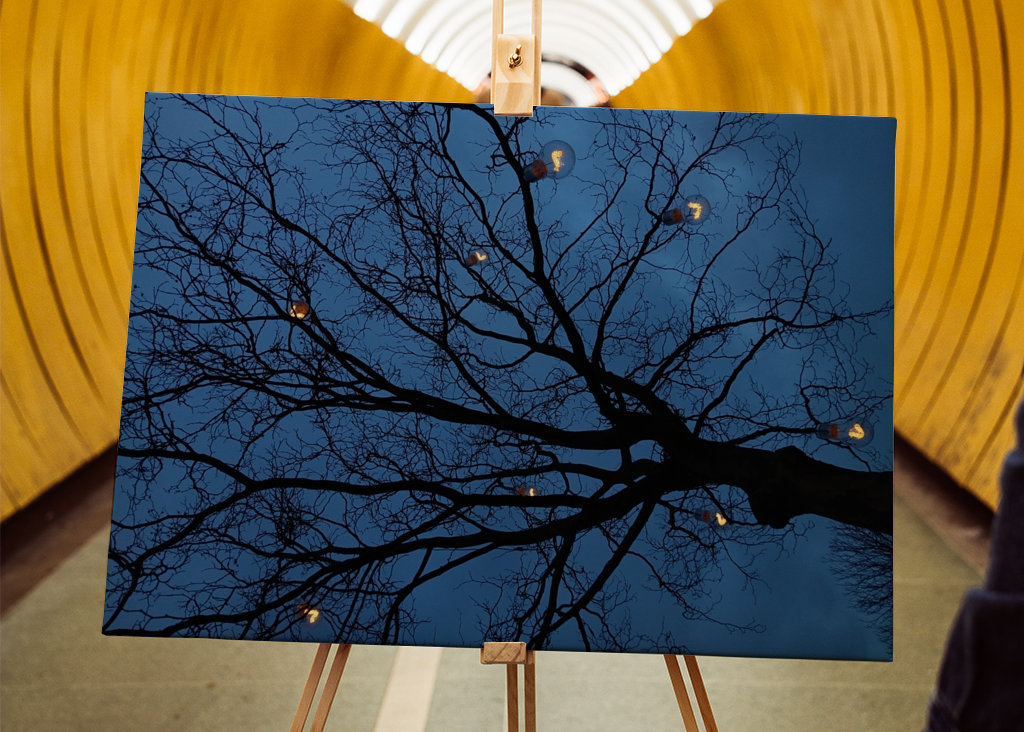 The light in the darkness