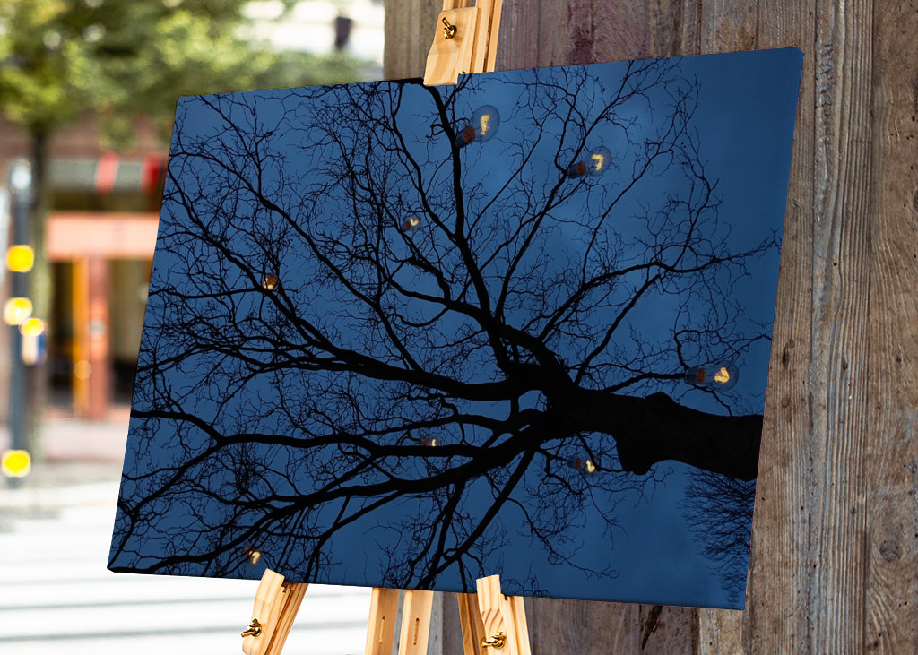 The light in the darkness