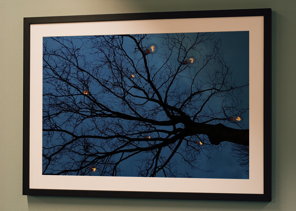 The light in the darkness