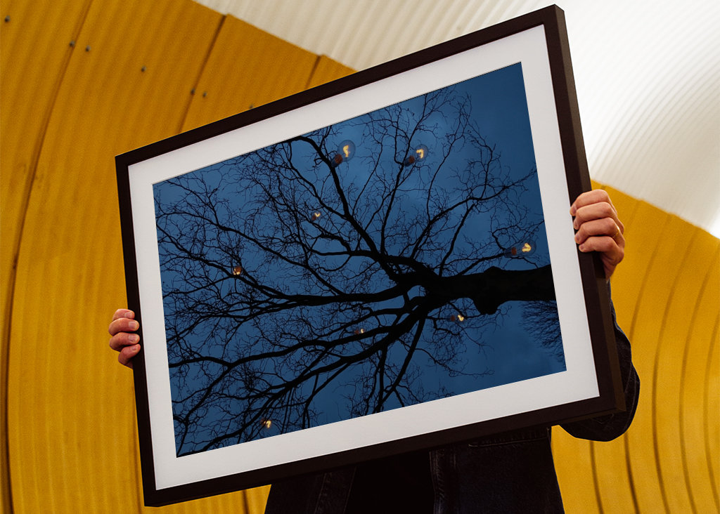 The light in the darkness