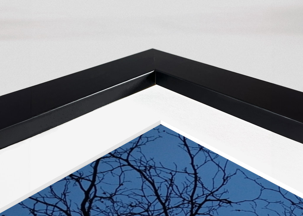 The light in the darkness