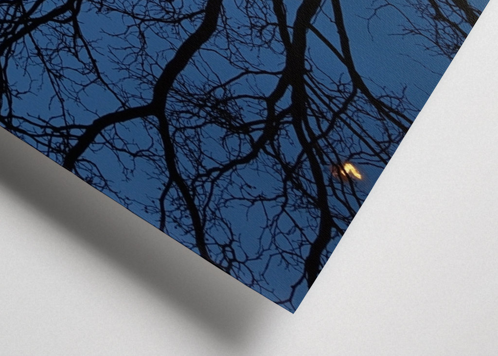 The light in the darkness