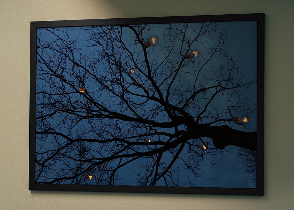 The light in the darkness