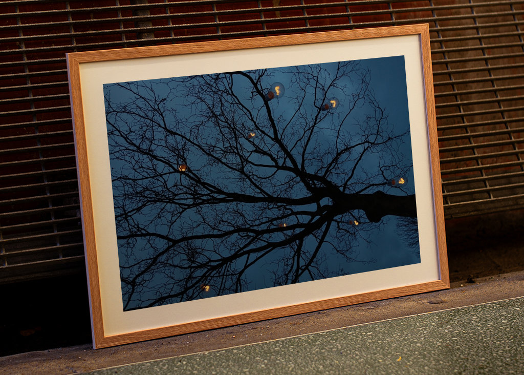 The light in the darkness