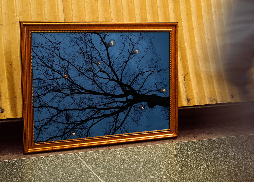 The light in the darkness