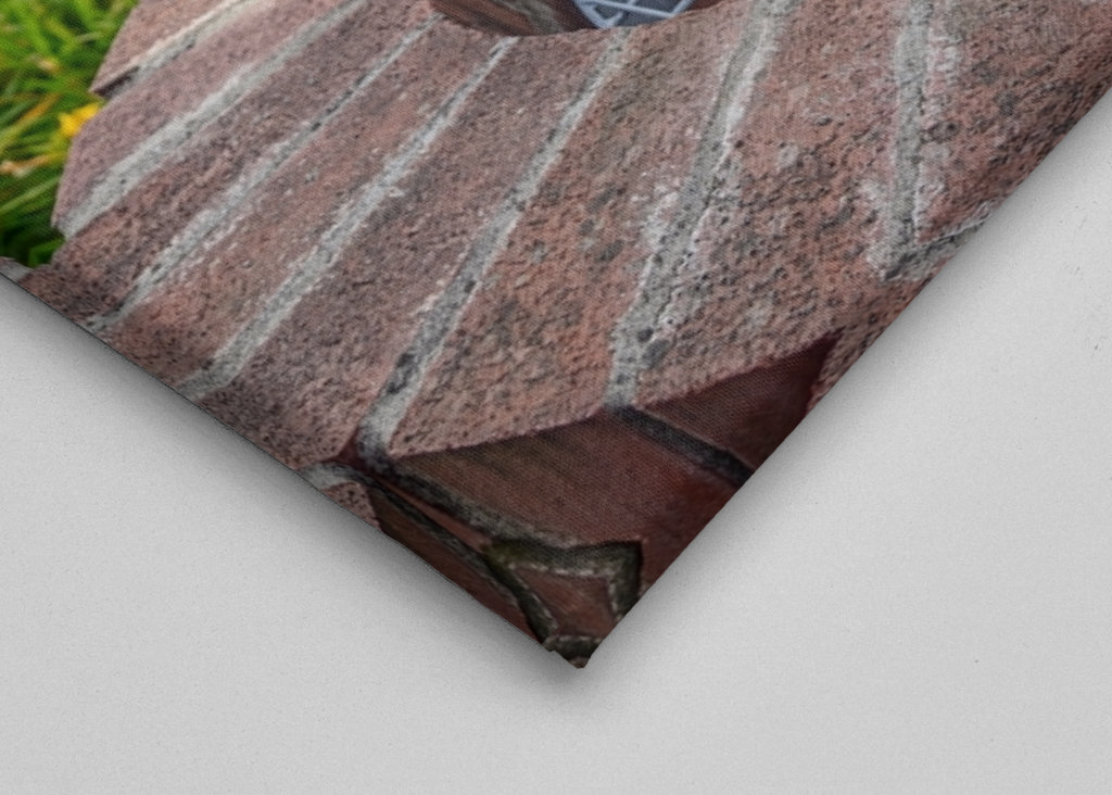 flowers in the garden