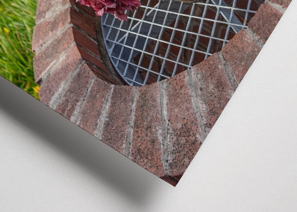 flowers in the garden