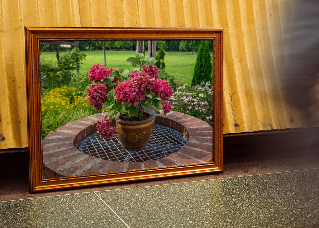 flowers in the garden