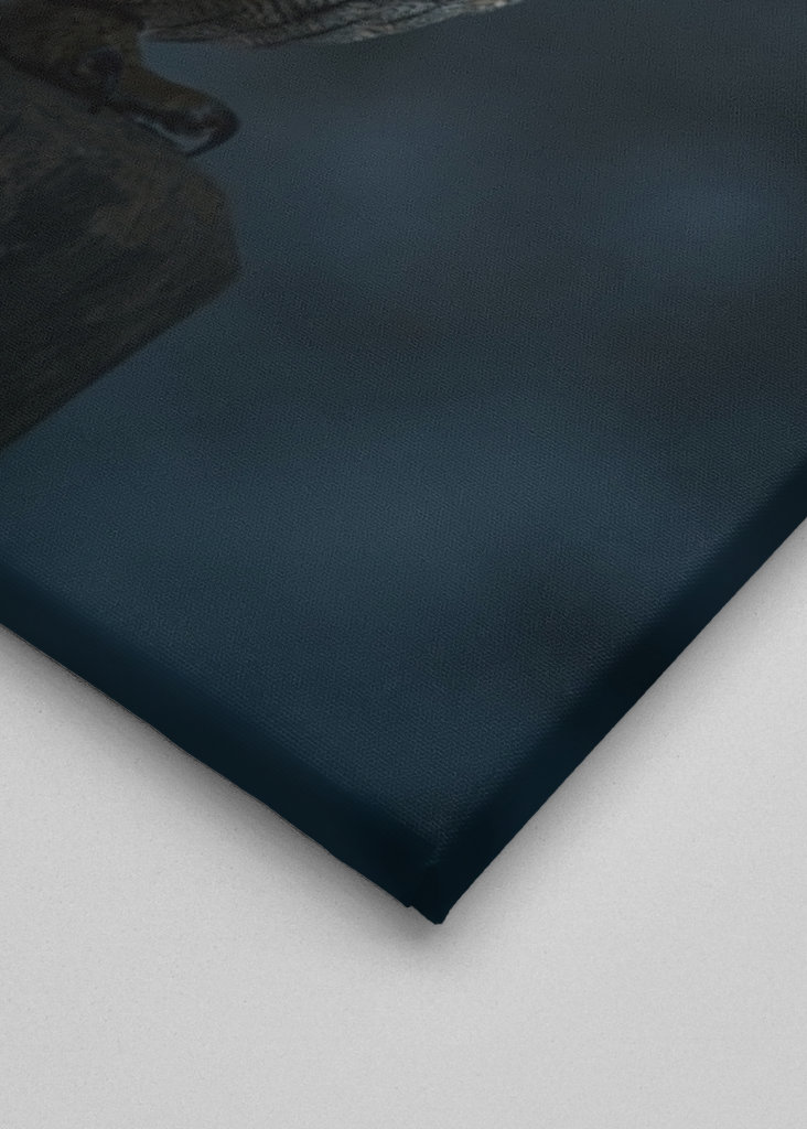 Eagle Owl at Winter Night