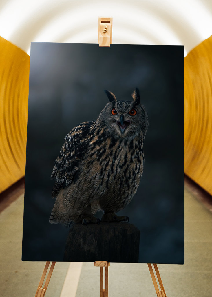 Eagle Owl at Winter Night