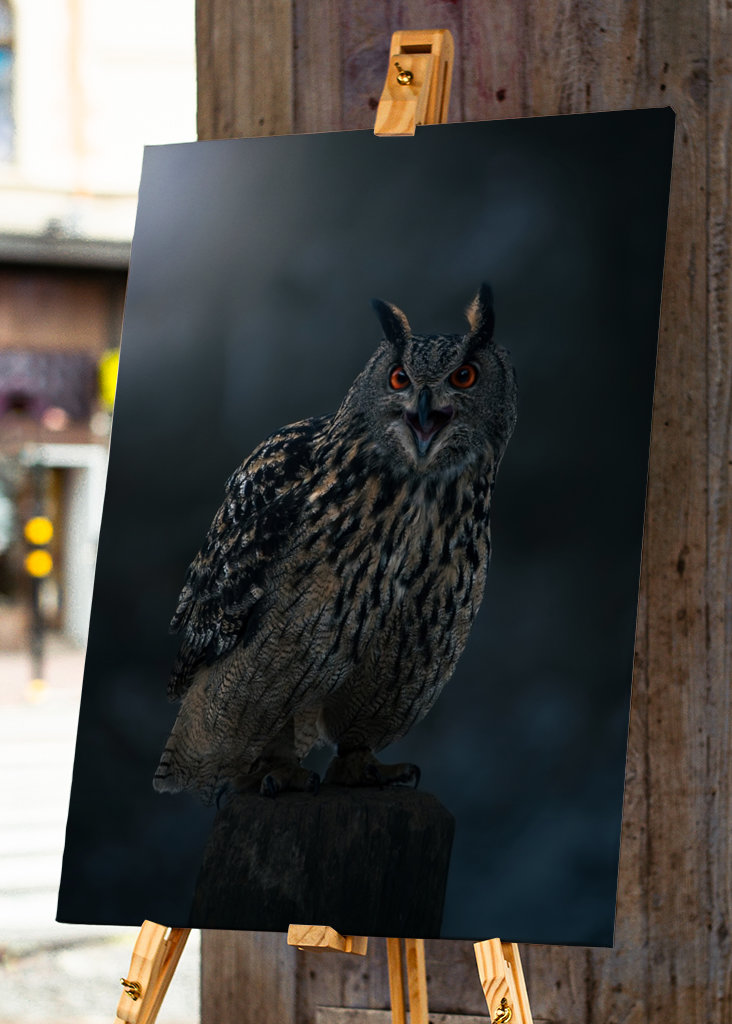 Eagle Owl at Winter Night