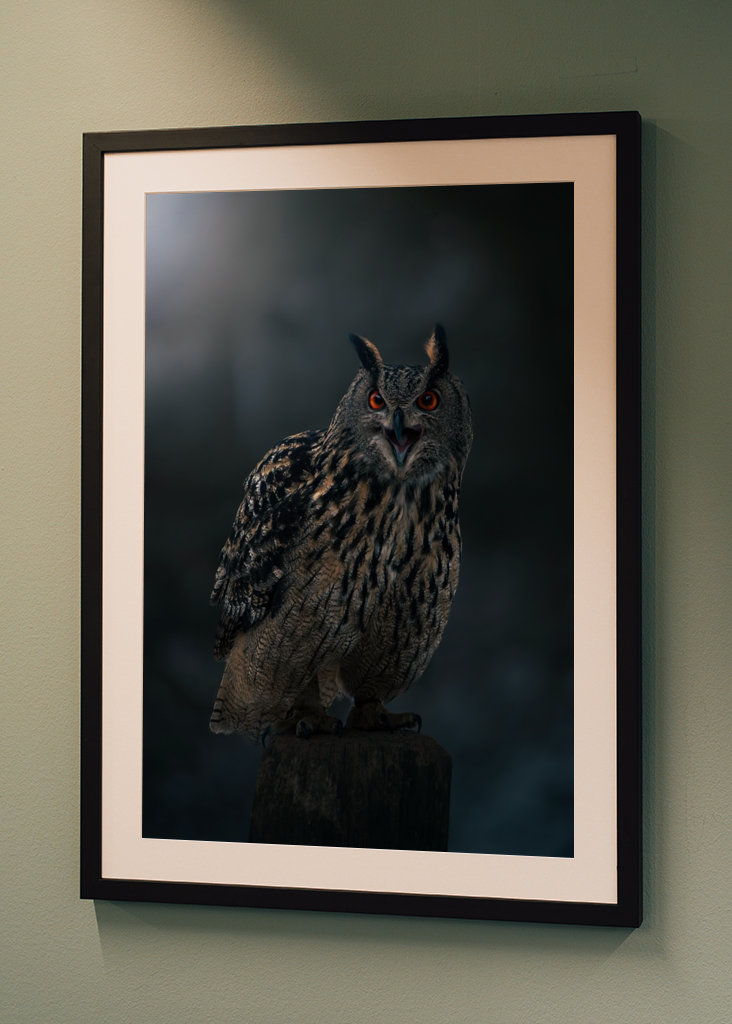 Eagle Owl at Winter Night