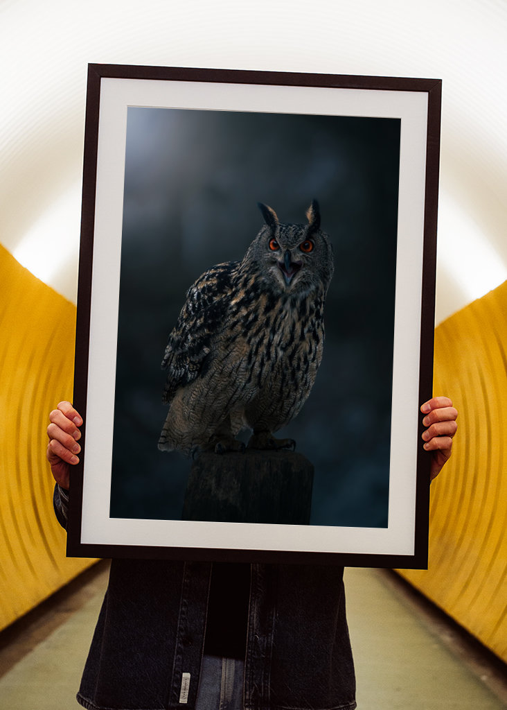 Eagle Owl at Winter Night