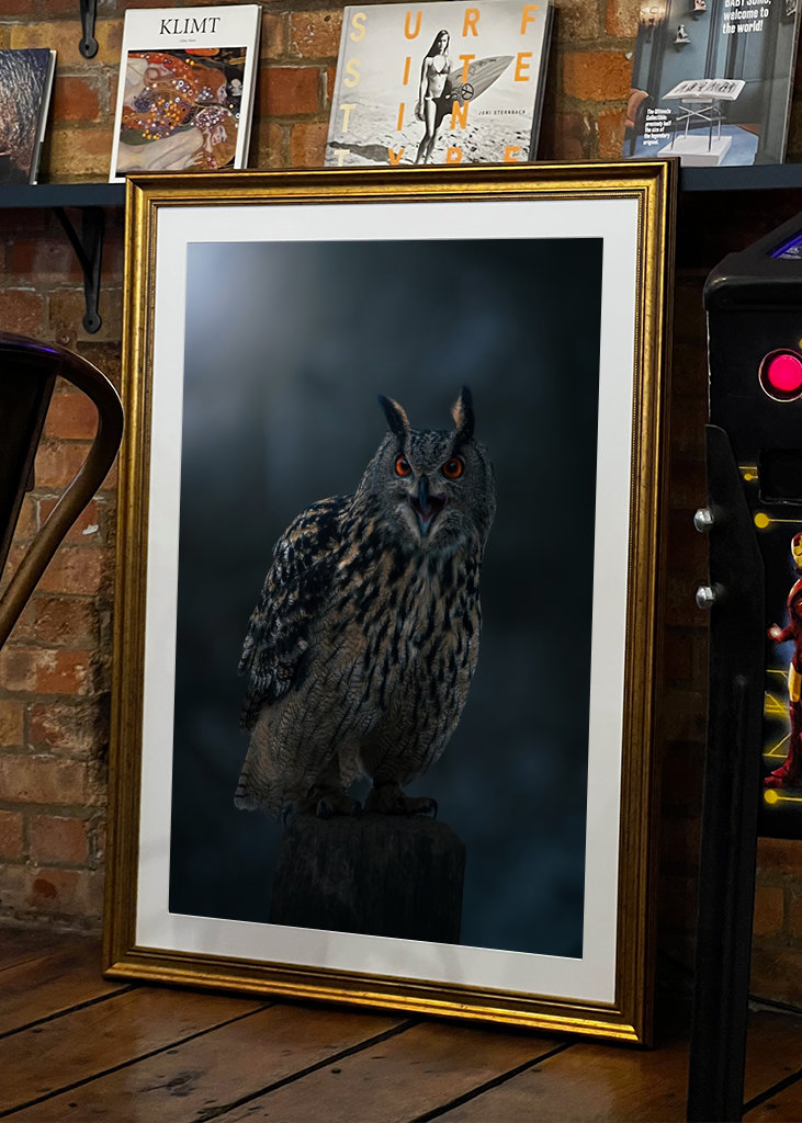 Eagle Owl at Winter Night