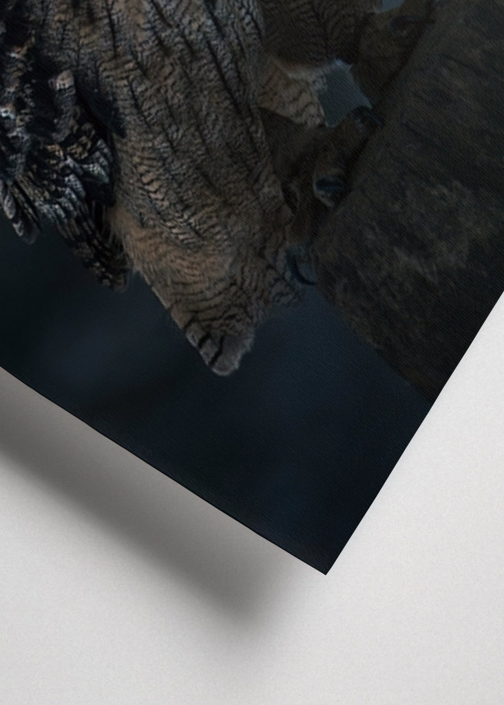 Eagle Owl at Winter Night