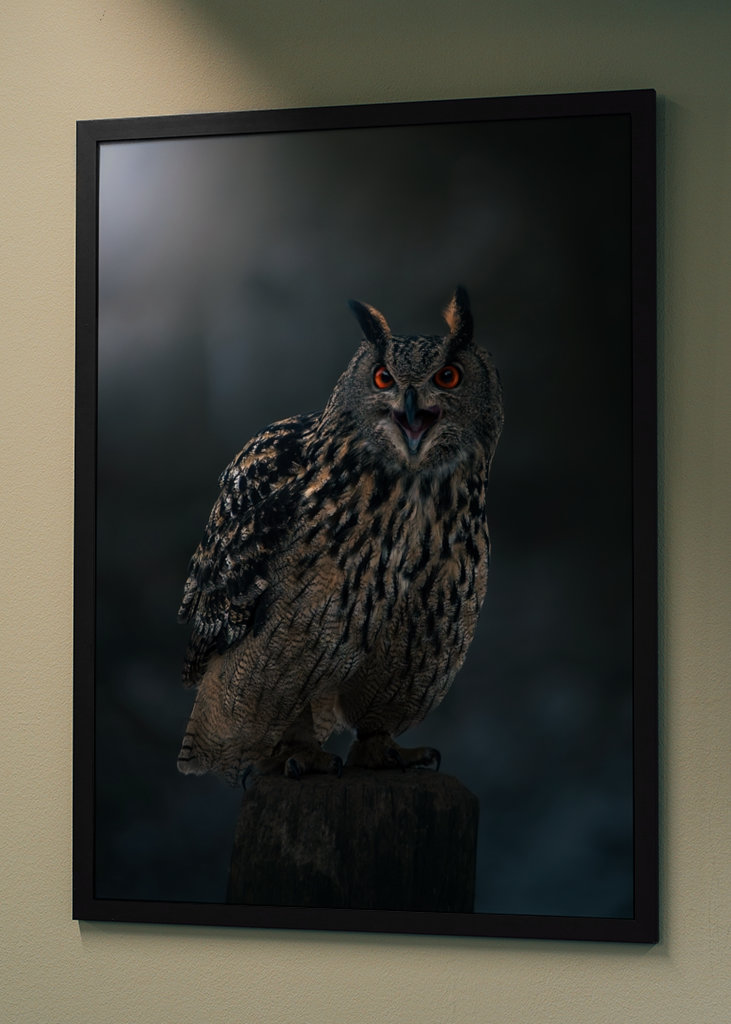 Eagle Owl at Winter Night