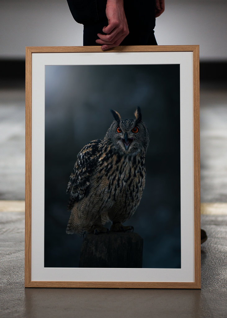 Eagle Owl at Winter Night