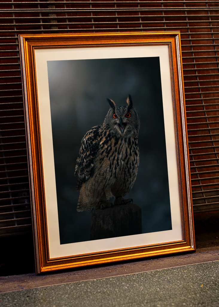 Eagle Owl at Winter Night
