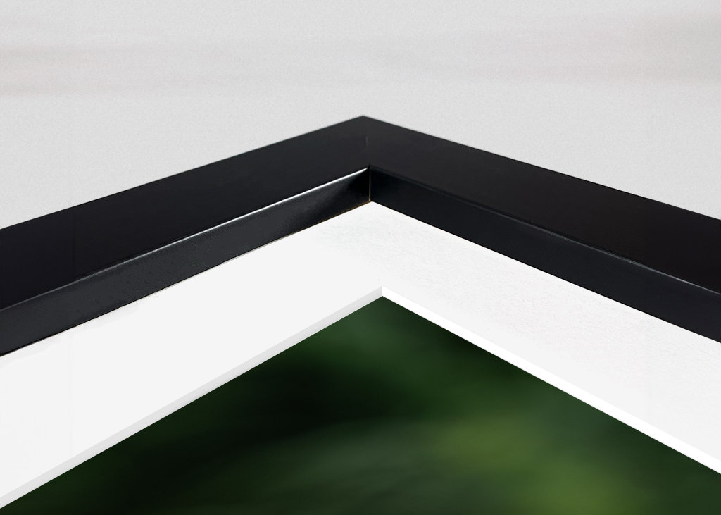 Merganser on lakeshore