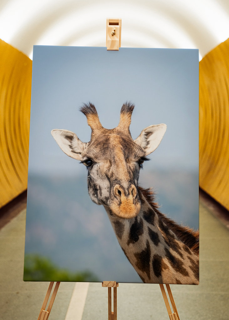 See the world like a giraffe.