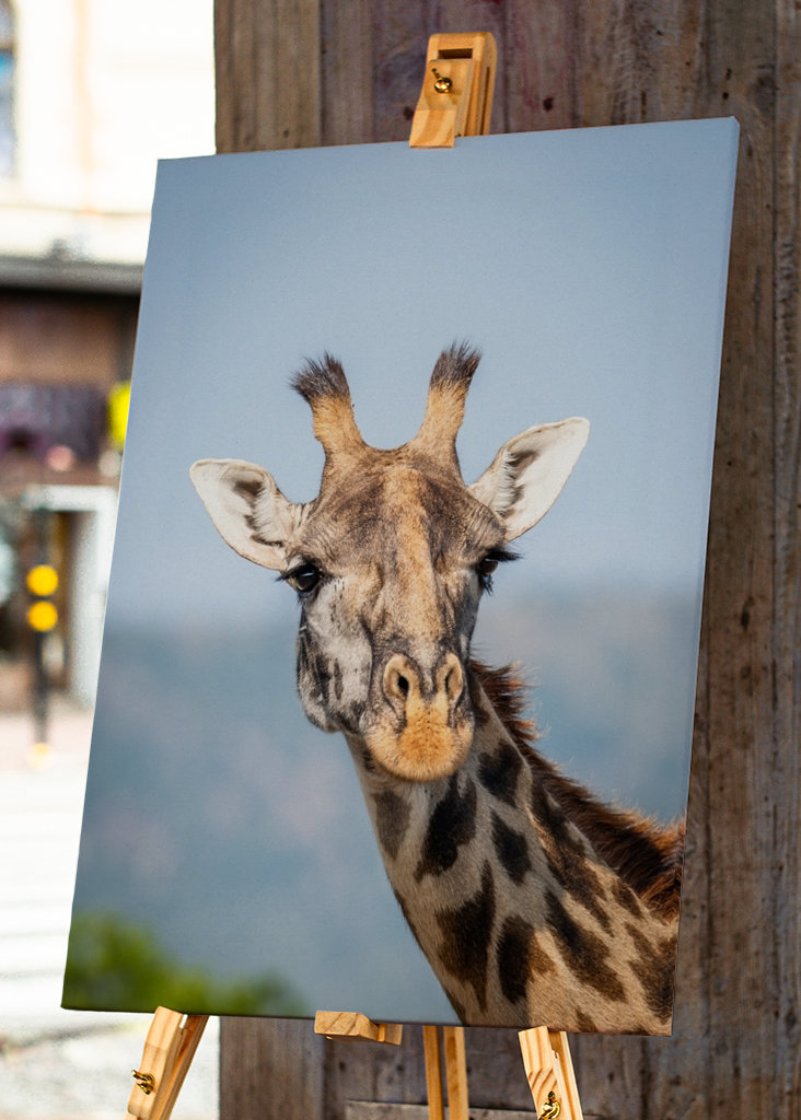 See the world like a giraffe.