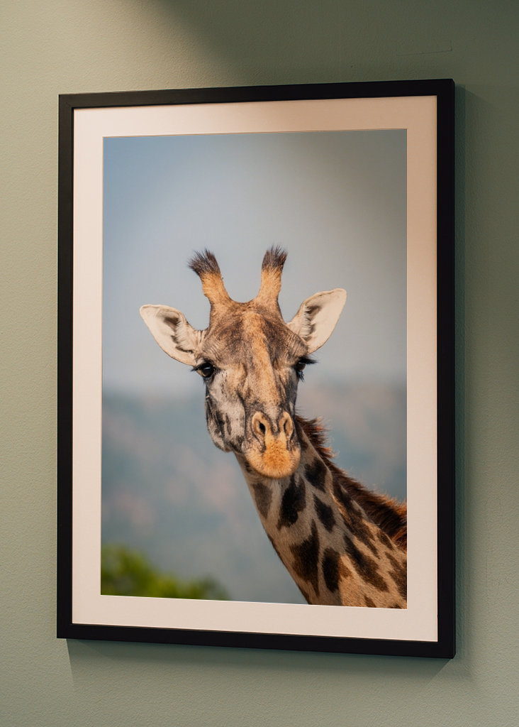 See the world like a giraffe.