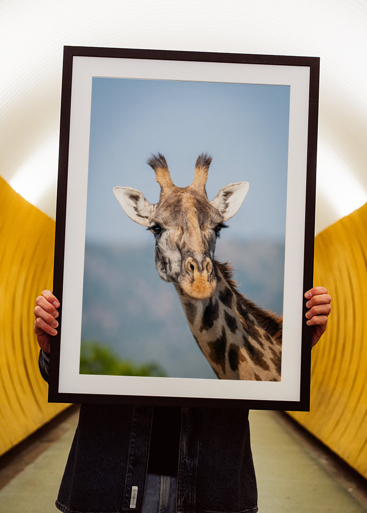 See the world like a giraffe.