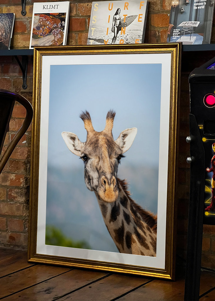 See the world like a giraffe.