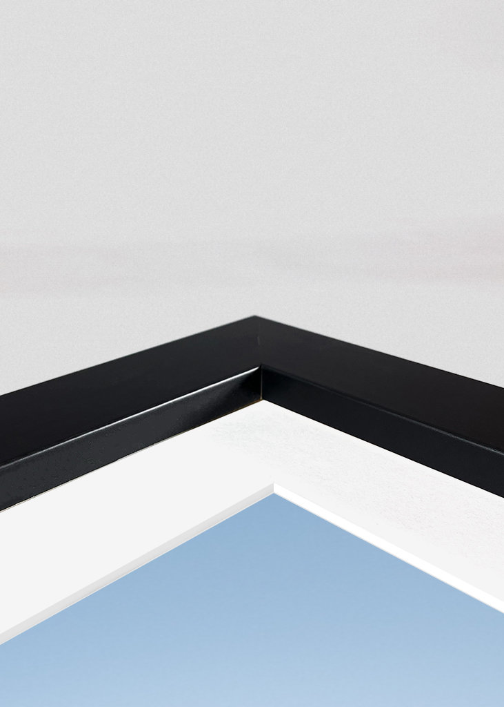 See the world like a giraffe.