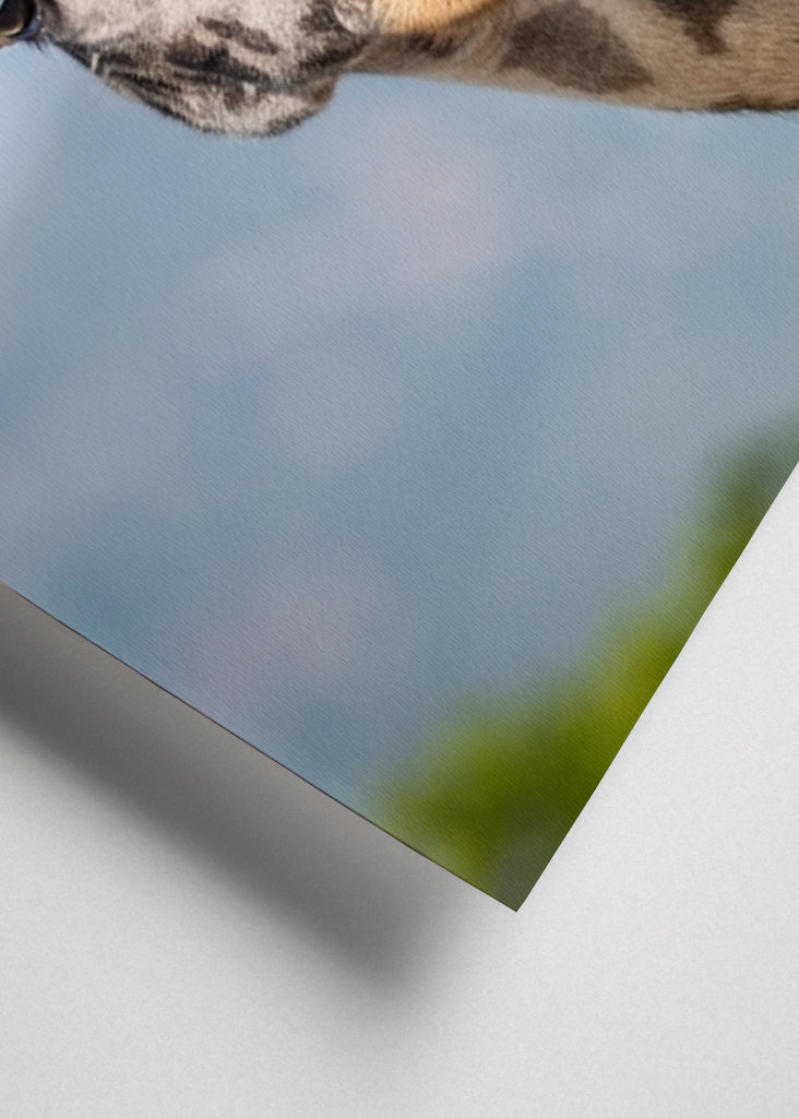 See the world like a giraffe.