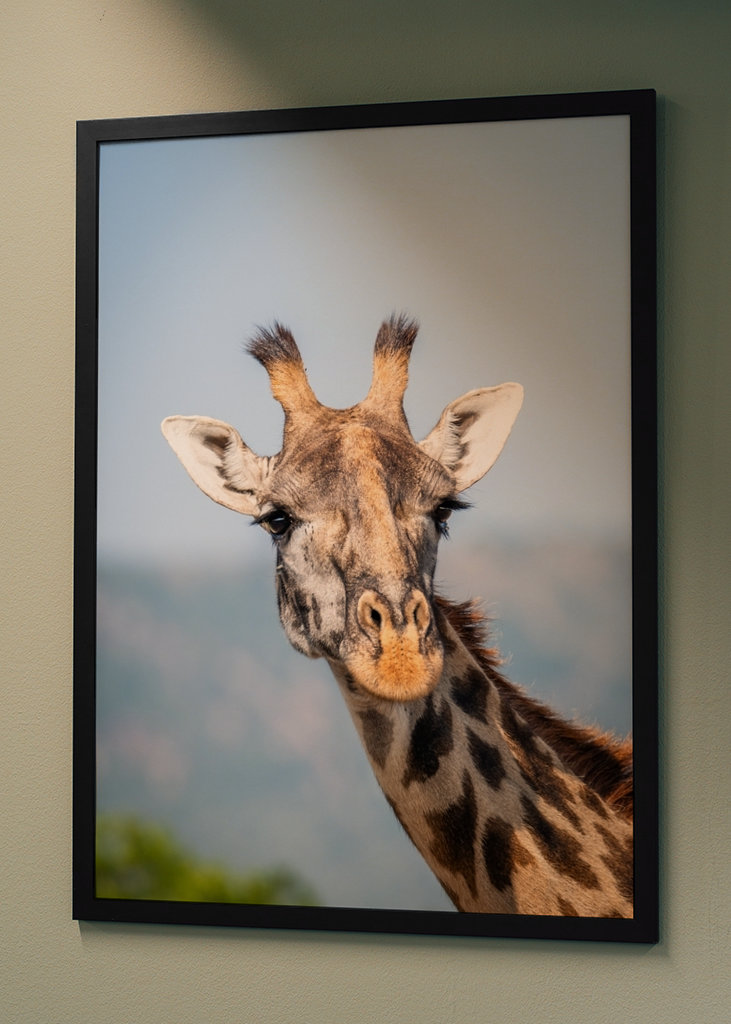 See the world like a giraffe.