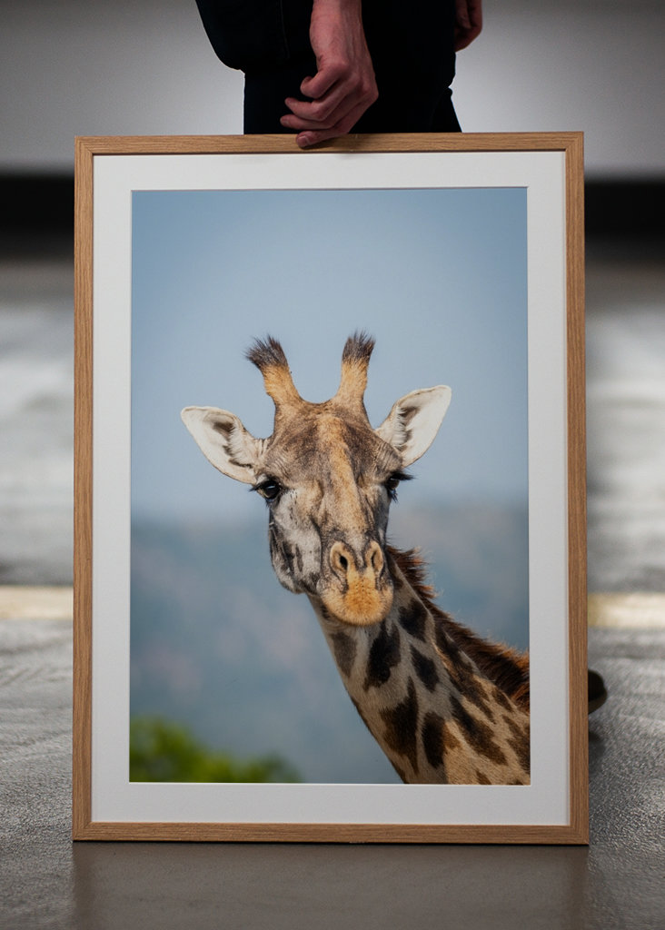 See the world like a giraffe.