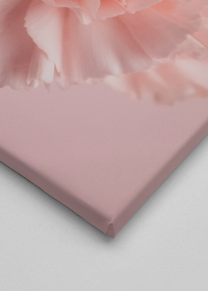 Pink carnations bouquet 