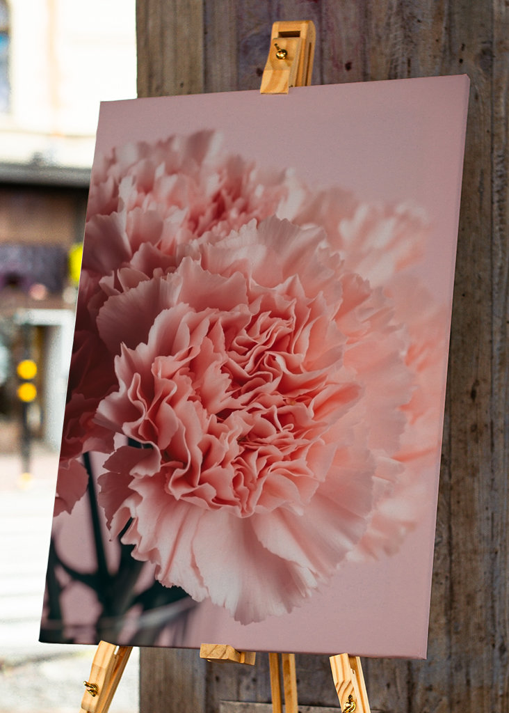 Pink carnations bouquet 