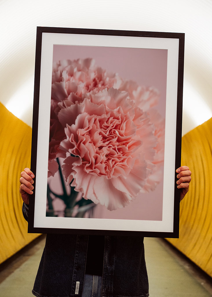 Pink carnations bouquet 