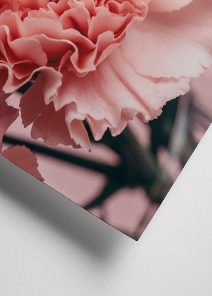 Pink carnations bouquet 