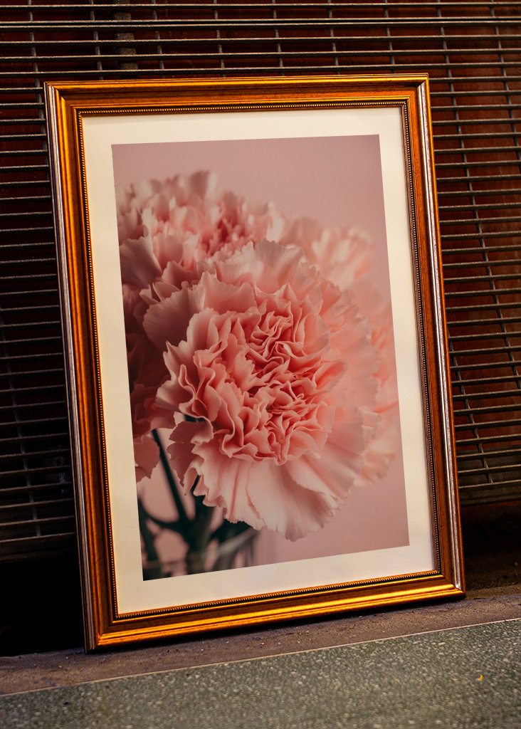 Pink carnations bouquet 