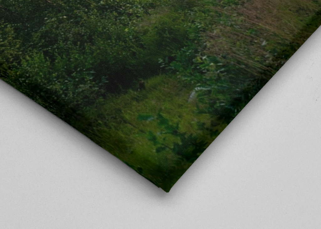 The Forest Kingdom of Jämtland