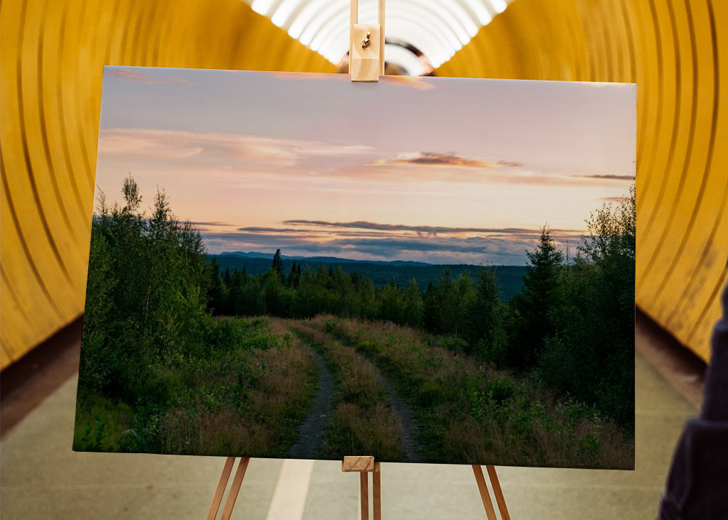 The Forest Kingdom of Jämtland