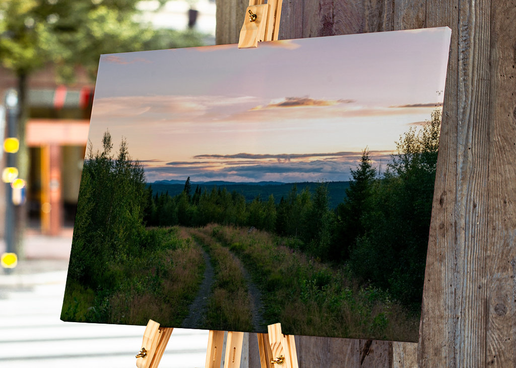 The Forest Kingdom of Jämtland
