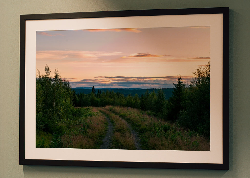 The Forest Kingdom of Jämtland